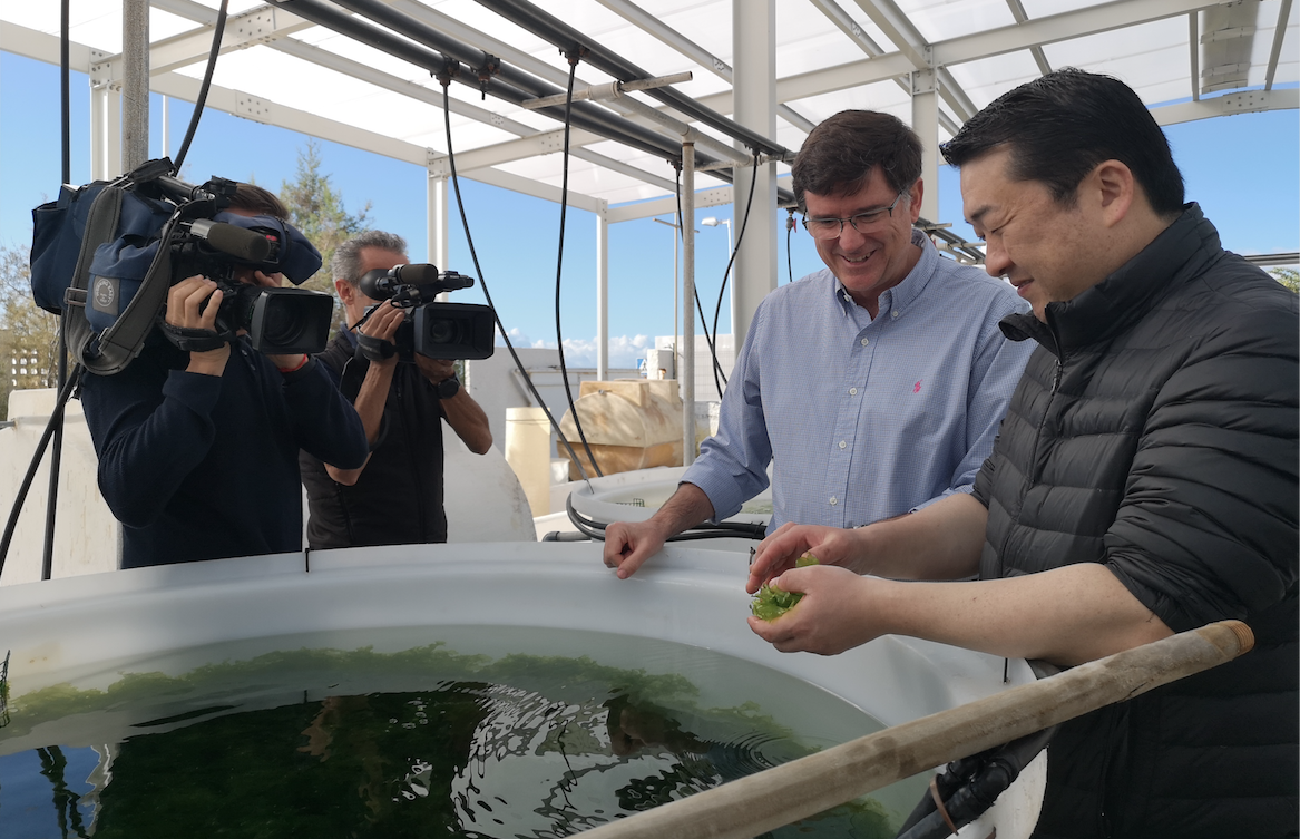 Hirotoshi con Gomez Pinchetti cogiendo algas