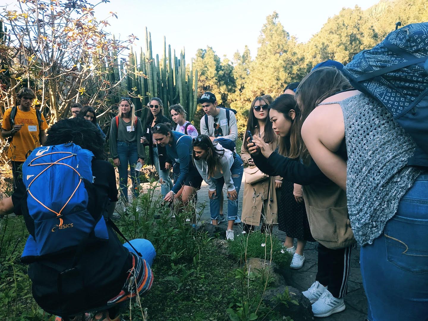 americanos en Jardín Botánico