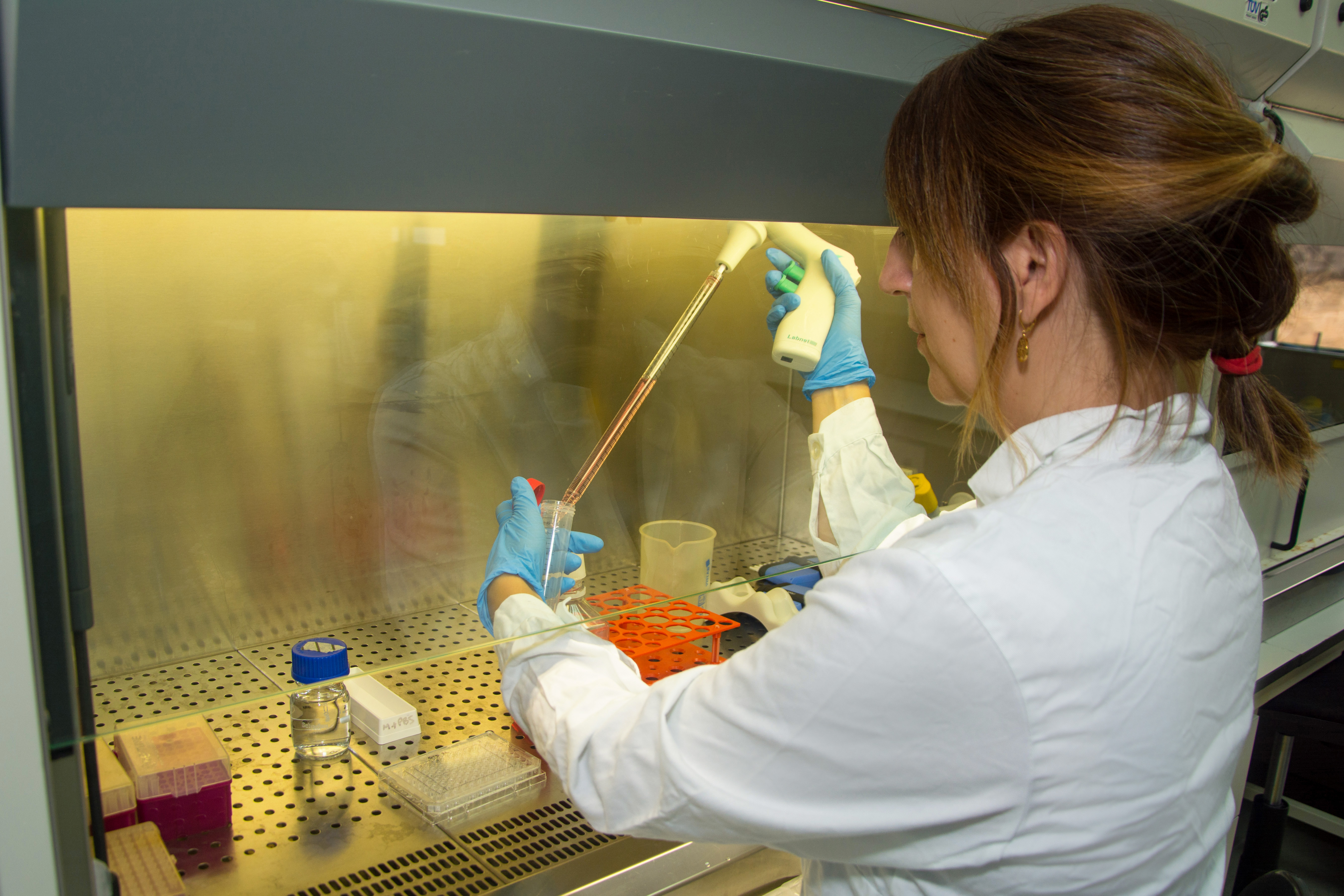 análisis de ciguatoxinas en el laboratorio