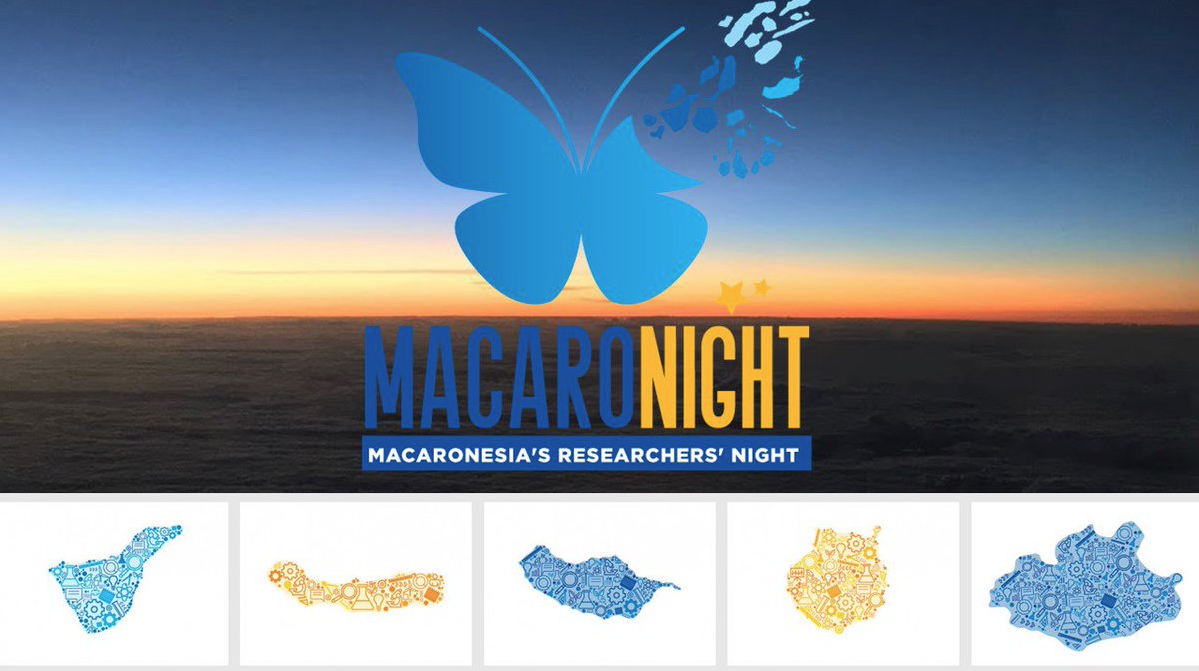 cartel macaronight