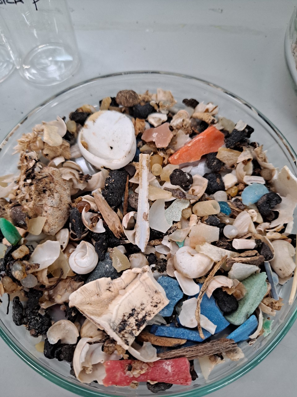 microplasticos