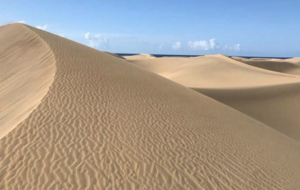 dunas maspalomas